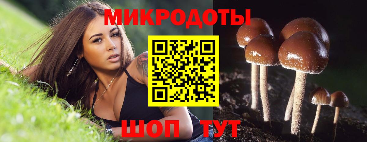 Галлюциногенные грибы мухоморы Ливны